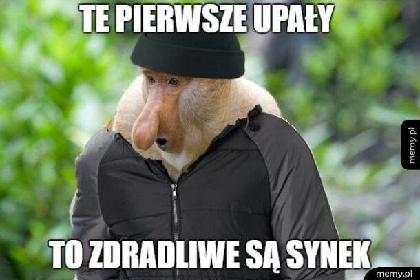 Dzieło sztuki #11849