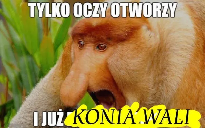 Dzieło sztuki #11859