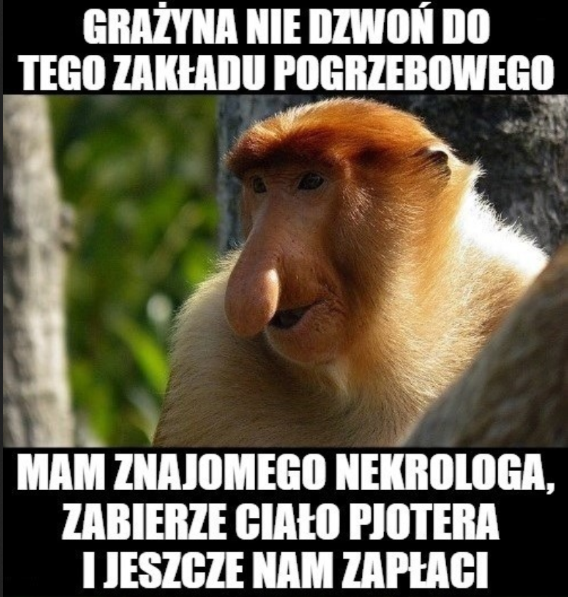 Dzieło sztuki #11871