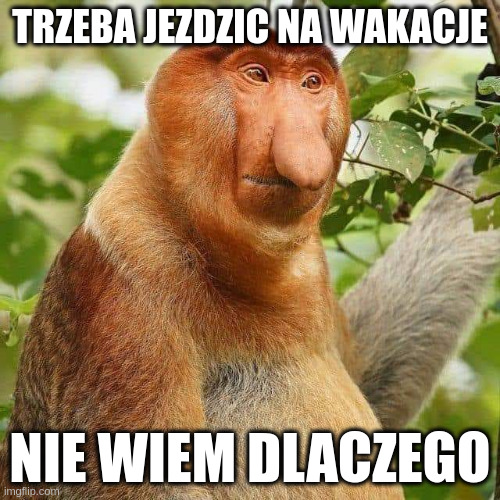 Dzieło sztuki #11872