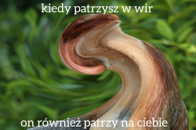 Dzieło sztuki #11885
