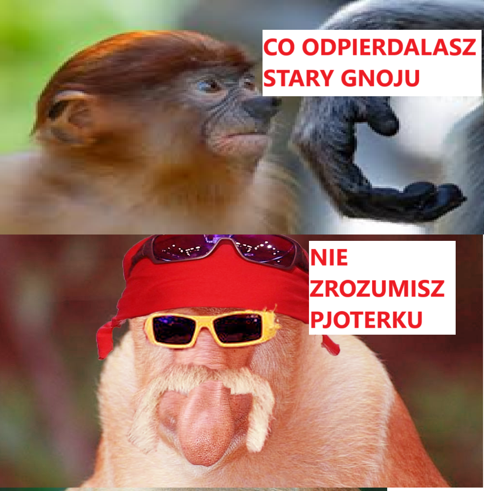 Dzieło sztuki #11900