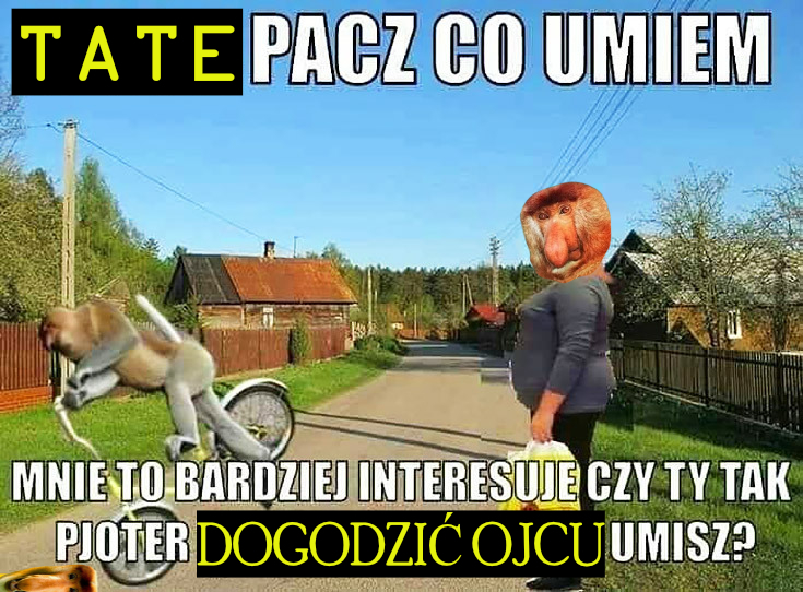 Dzieło sztuki #11945