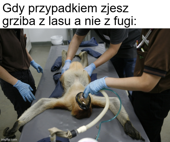 Dzieło sztuki #11950