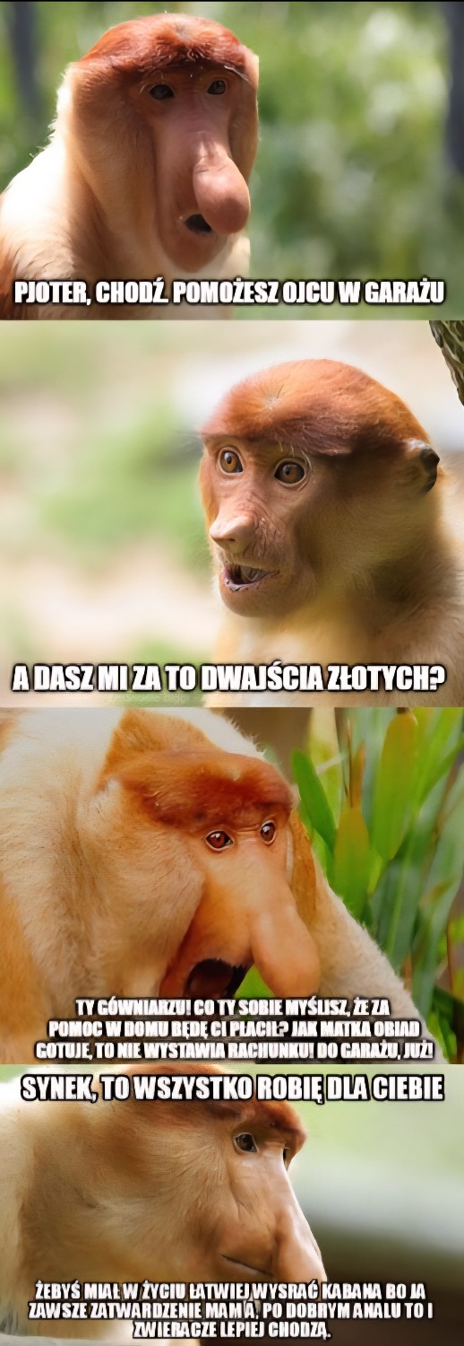 Dzieło sztuki #11973