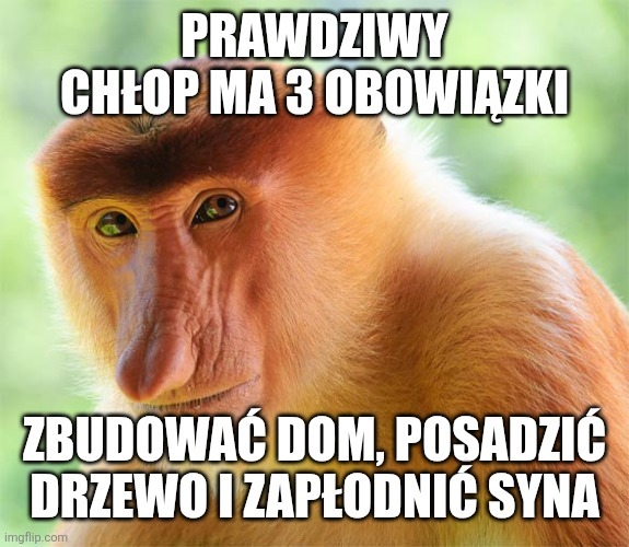 Dzieło sztuki #11987