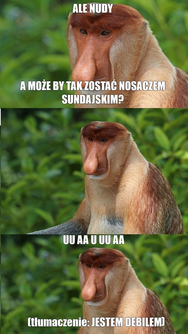 Dzieło sztuki #11990