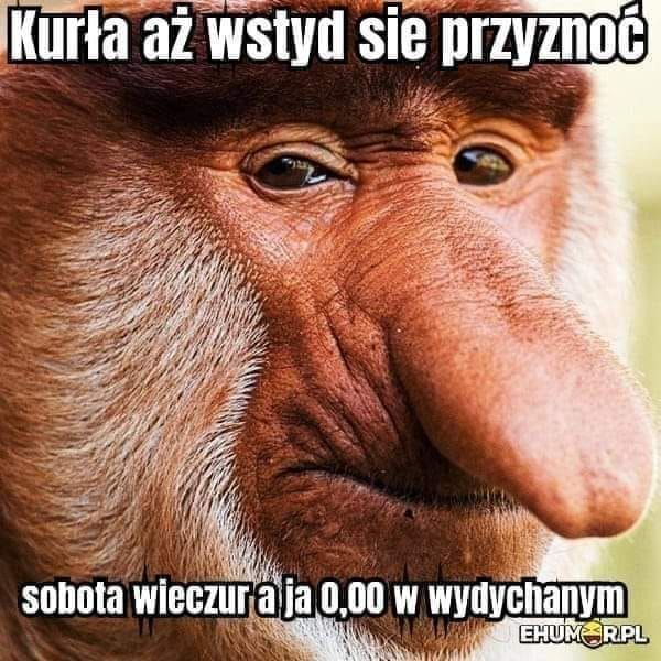 Dzieło sztuki #11996