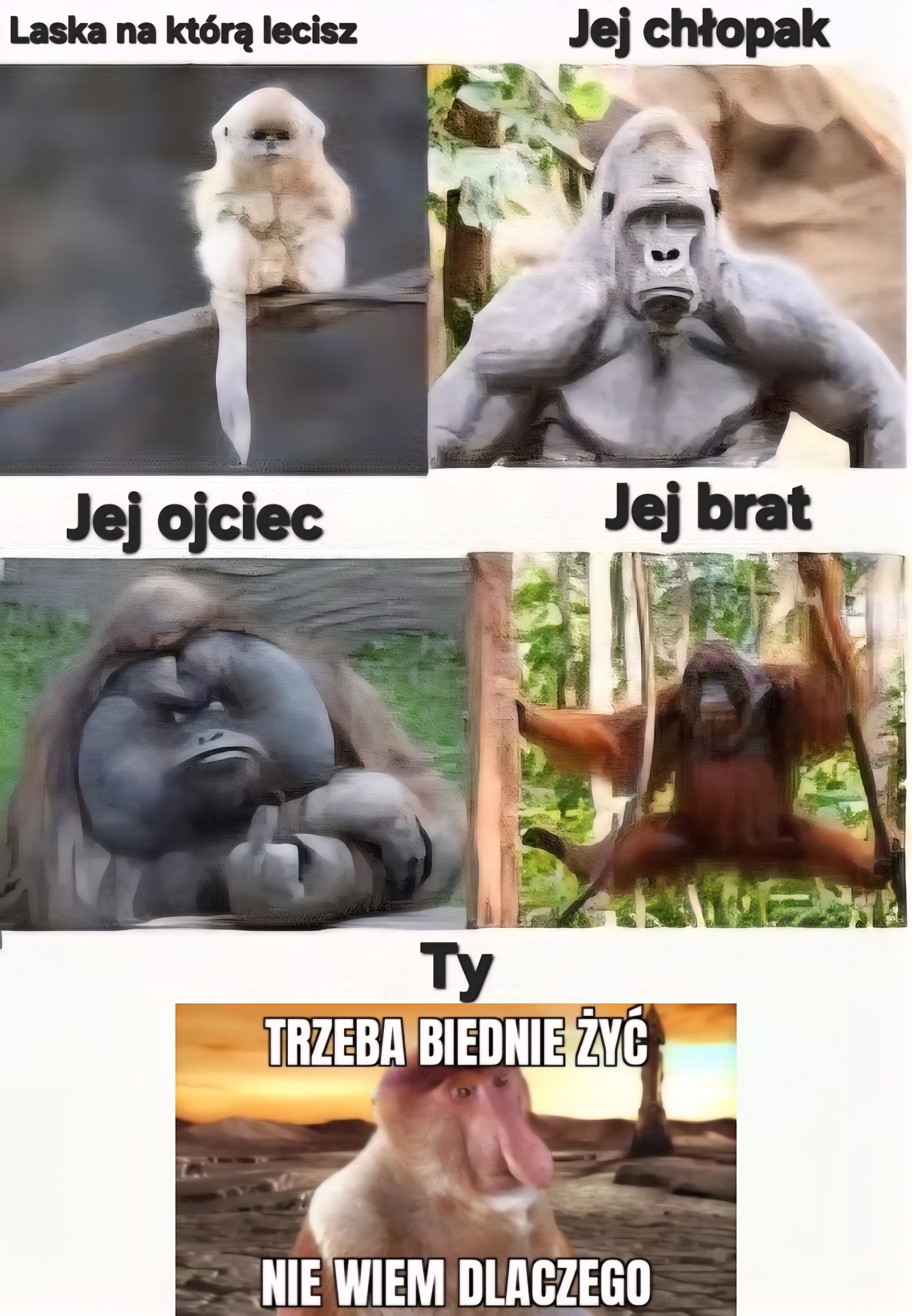 Dzieło sztuki #11998