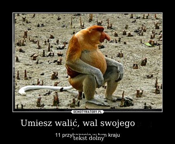 Dzieło sztuki #12007