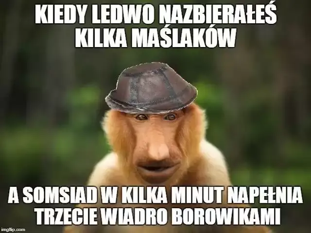 Dzieło sztuki #12022