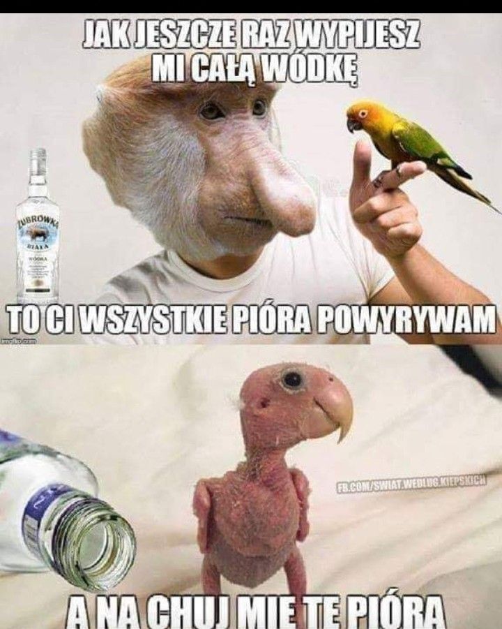 Dzieło sztuki #12024