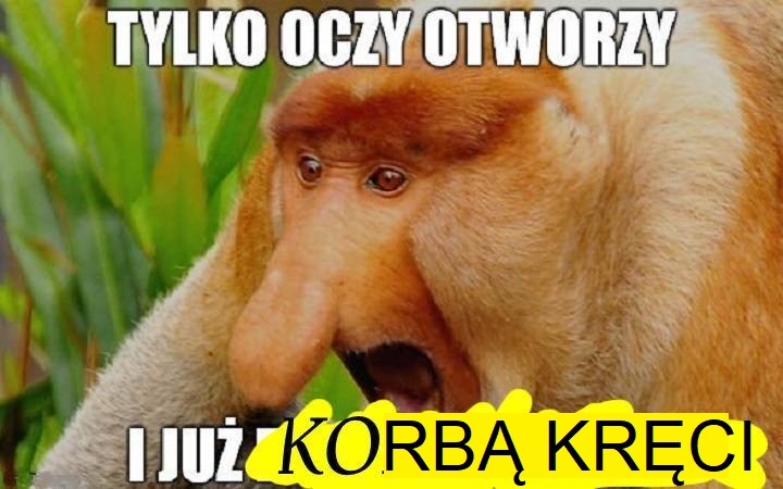 Dzieło sztuki #12025