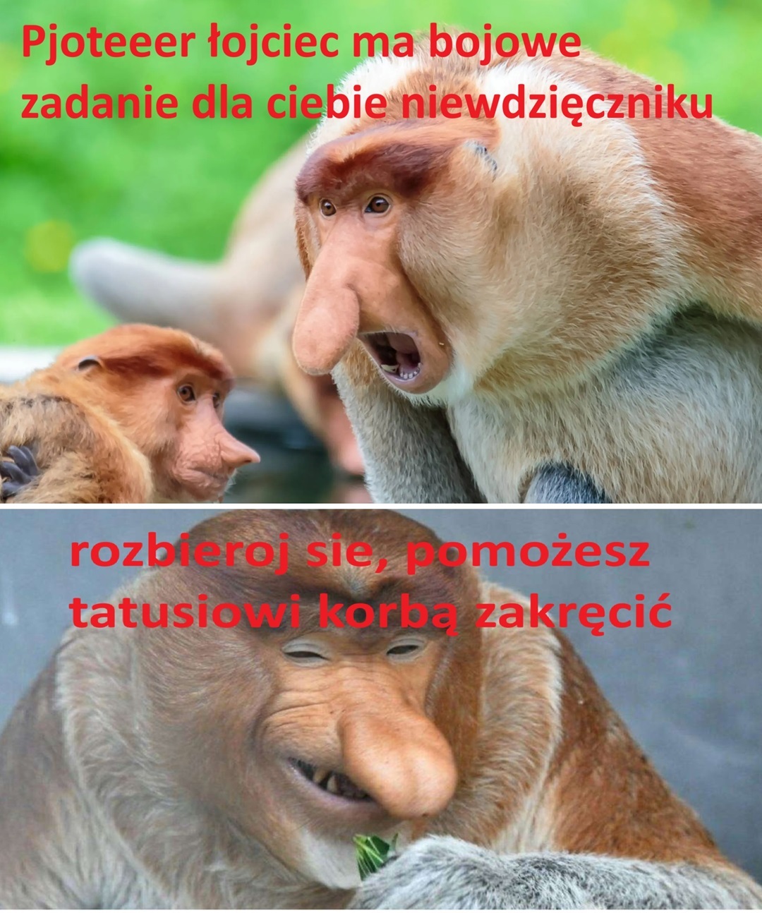 Dzieło sztuki #12033