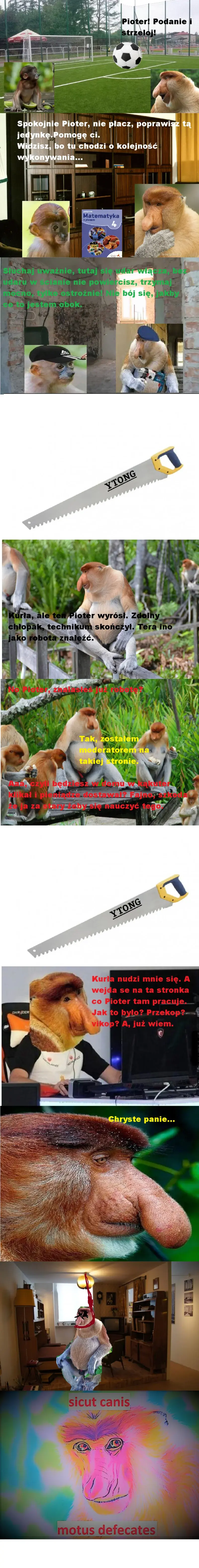 Dzieło sztuki #12037