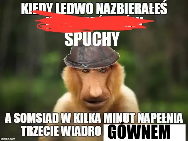 Dzieło sztuki #12040