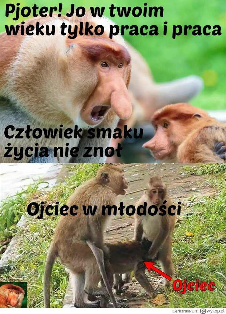 Dzieło sztuki #12075