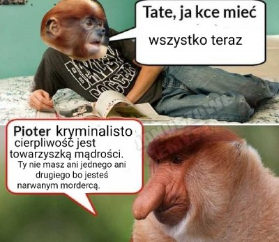 Dzieło sztuki #12083