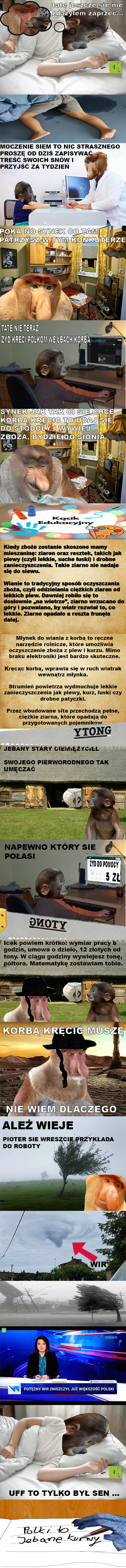 Dzieło sztuki #12088