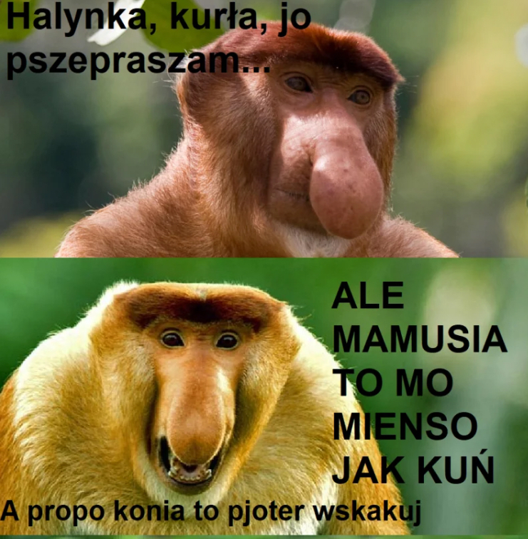 Dzieło sztuki #12097