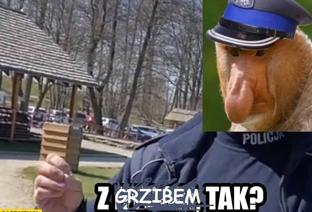 Dzieło sztuki #12099