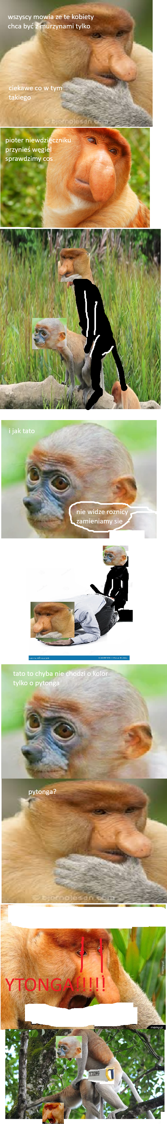 Dzieło sztuki #12101