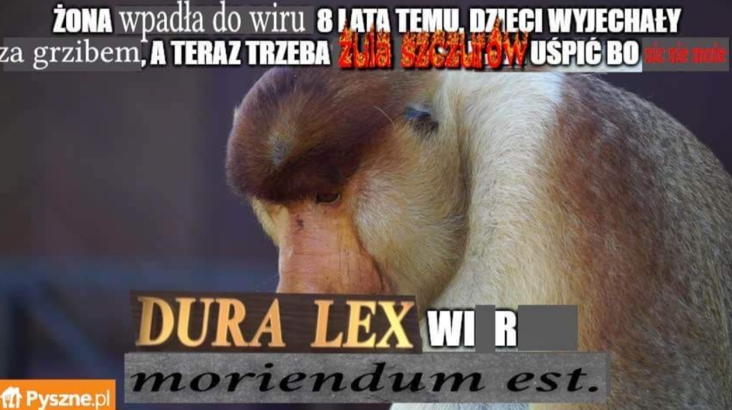 Dzieło sztuki #12143