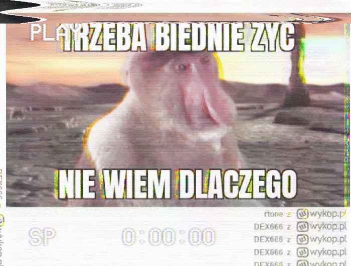 Dzieło sztuki #12147