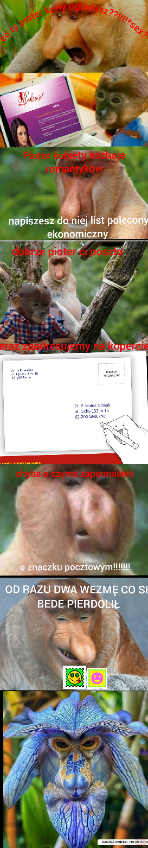 Dzieło sztuki #12167