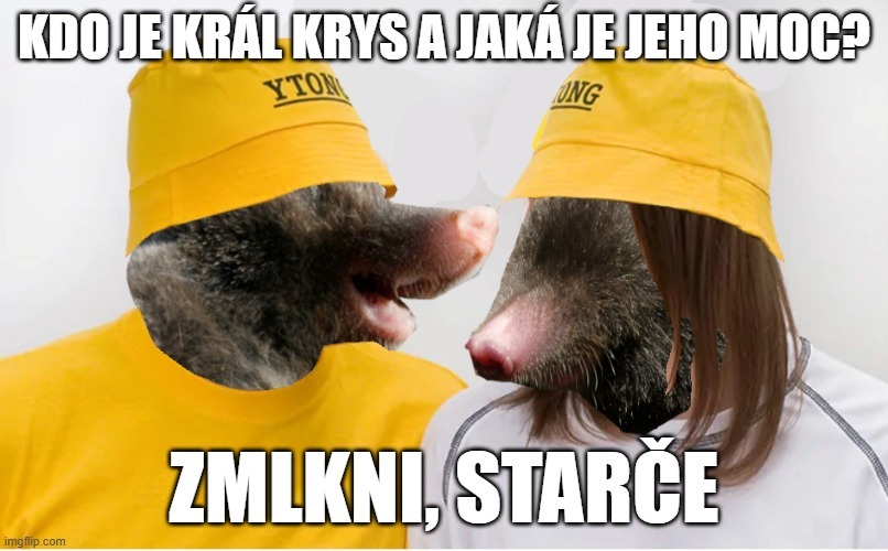 Dzieło sztuki #12189