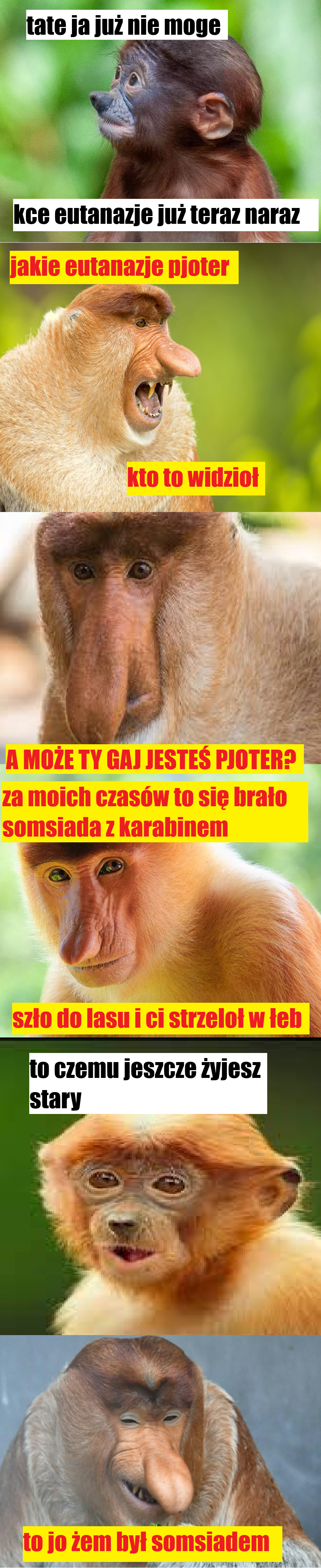 Dzieło sztuki #12195
