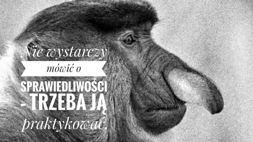 Dzieło sztuki #12207