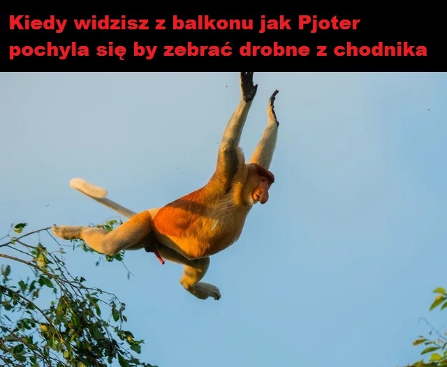 Dzieło sztuki #12218