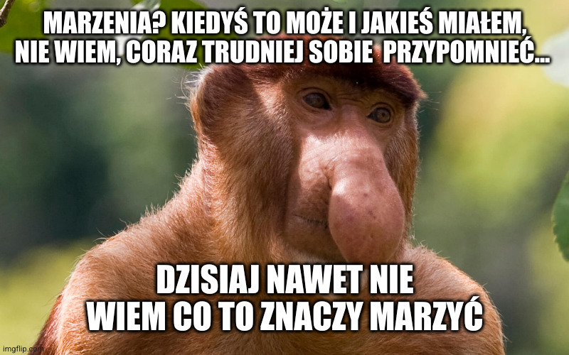 Dzieło sztuki #12223