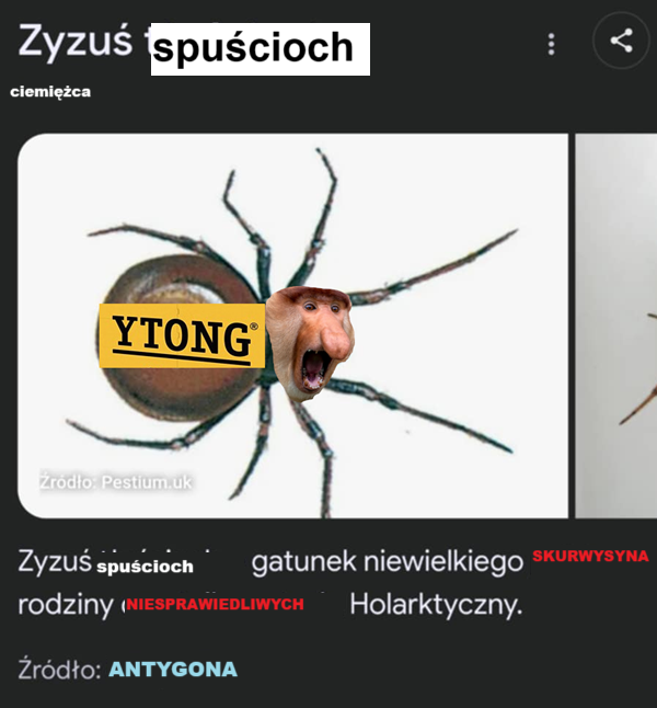 Dzieło sztuki #12237