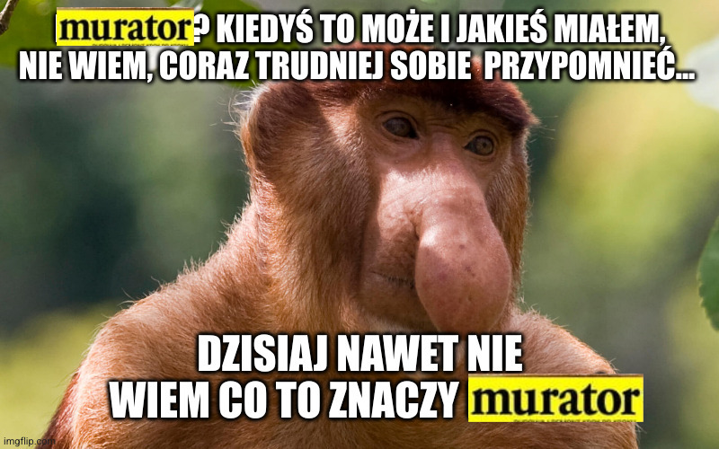 Dzieło sztuki #12238