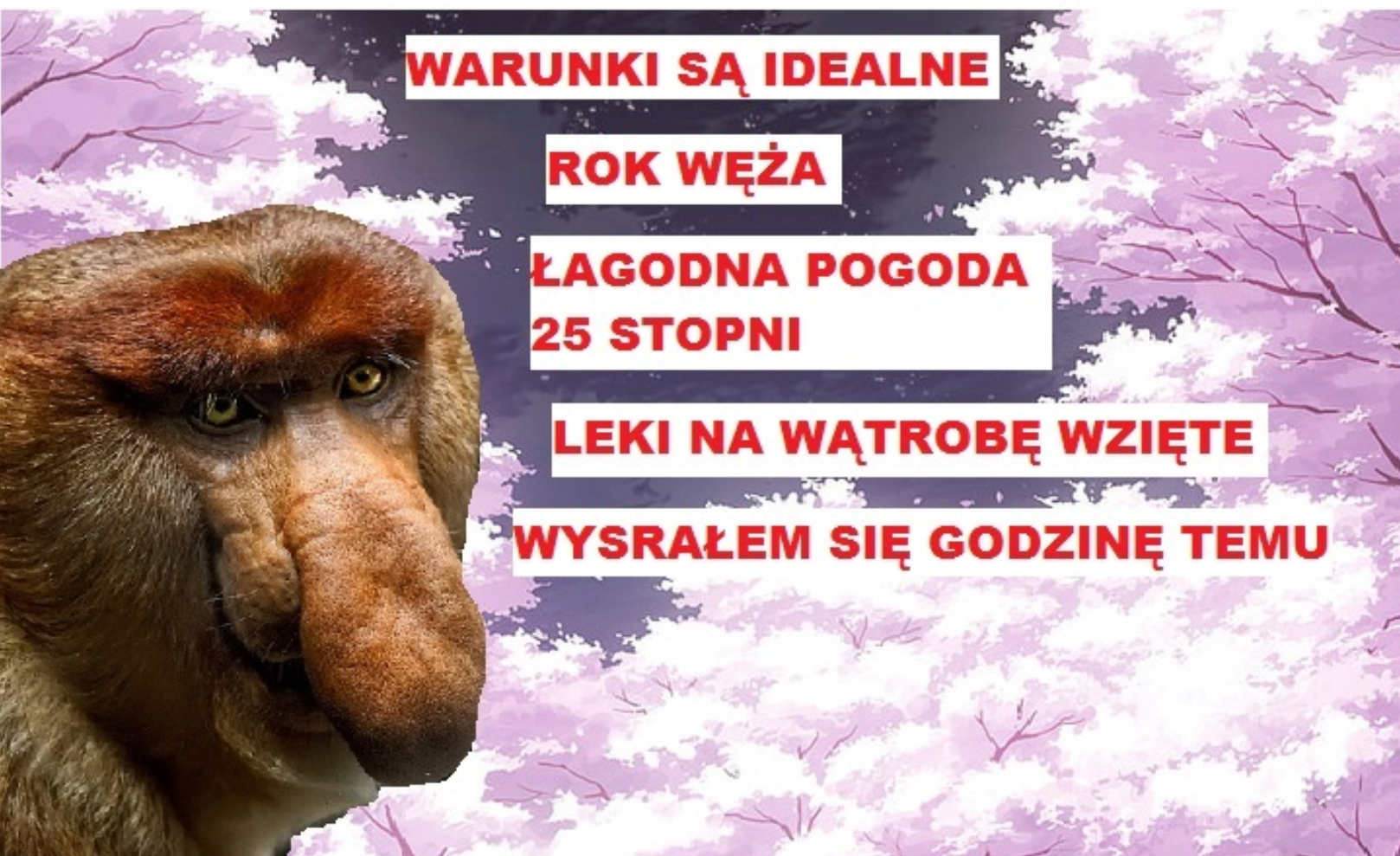Dzieło sztuki #12252