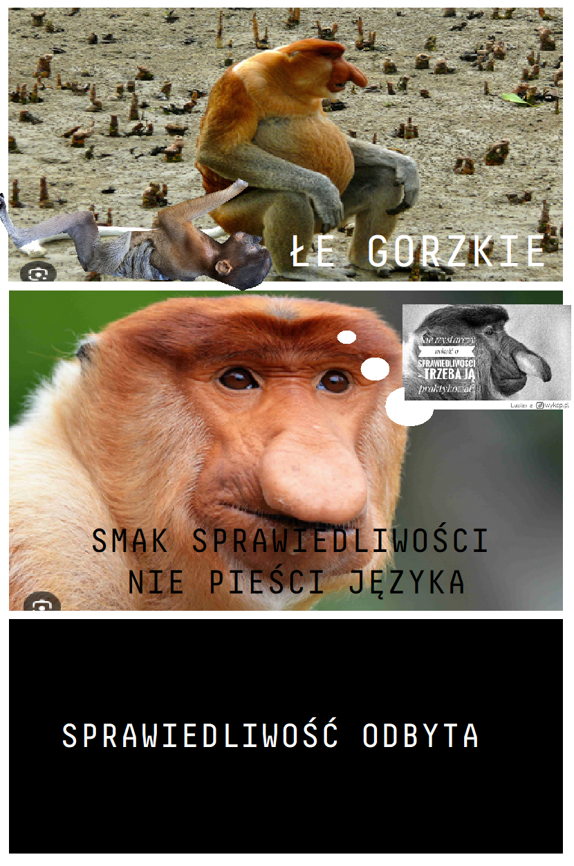 Dzieło sztuki #12266