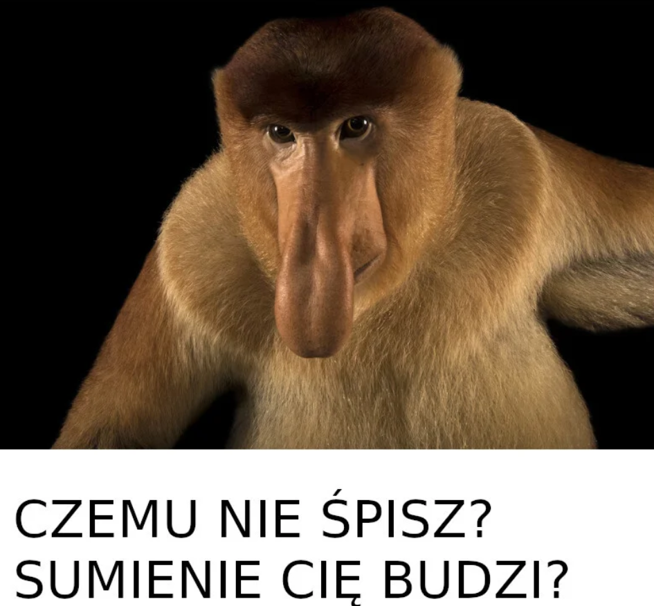 Dzieło sztuki #12268