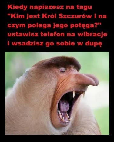 Dzieło sztuki #12275