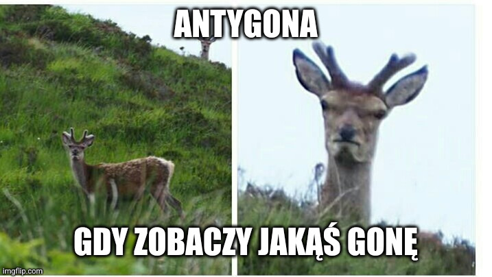 Dzieło sztuki #12282