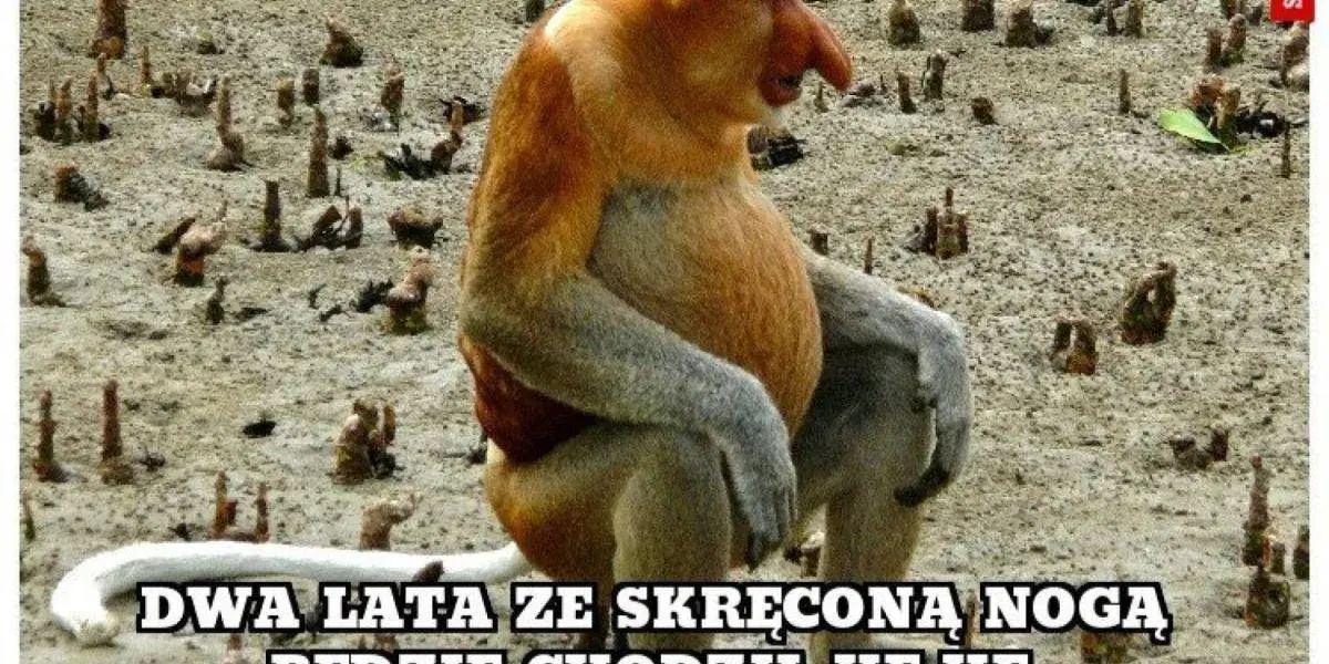 Dzieło sztuki #12286