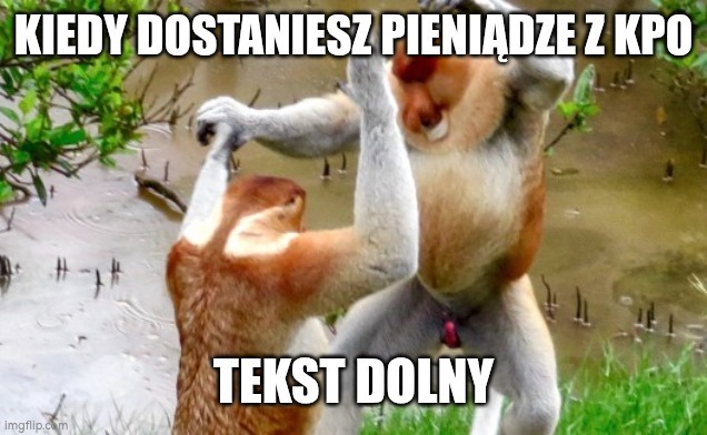 Dzieło sztuki #12294