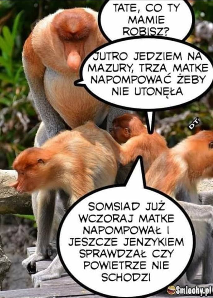 Dzieło sztuki #12325