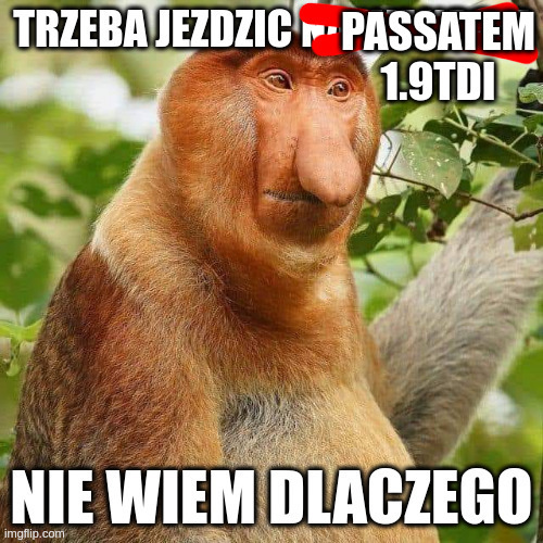 Dzieło sztuki #12337