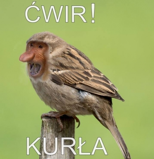 Dzieło sztuki #12344