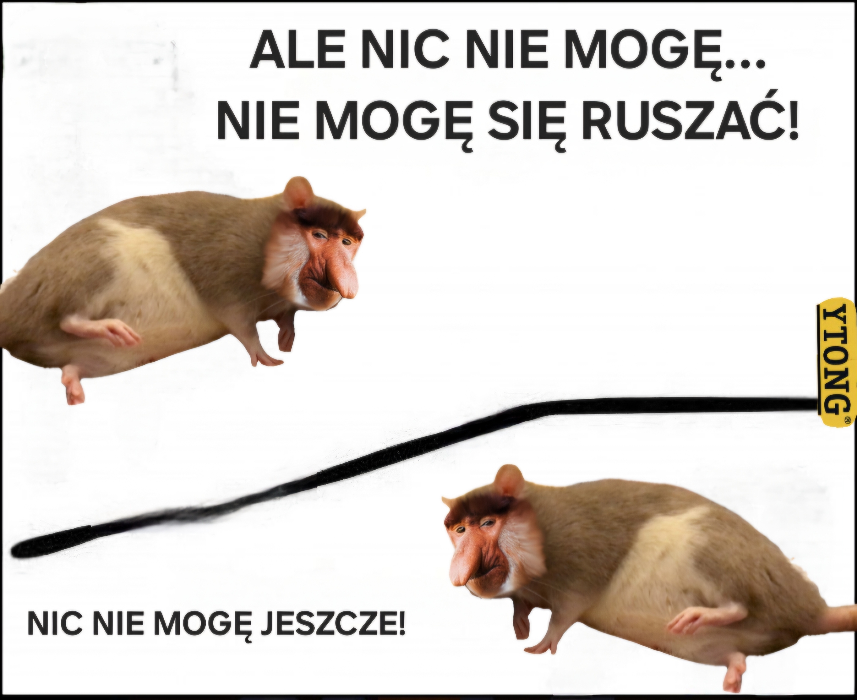 Dzieło sztuki #12355