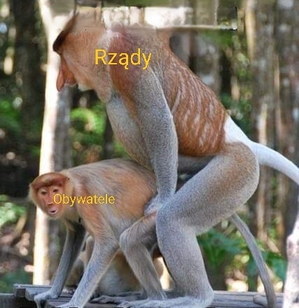 Dzieło sztuki #12365