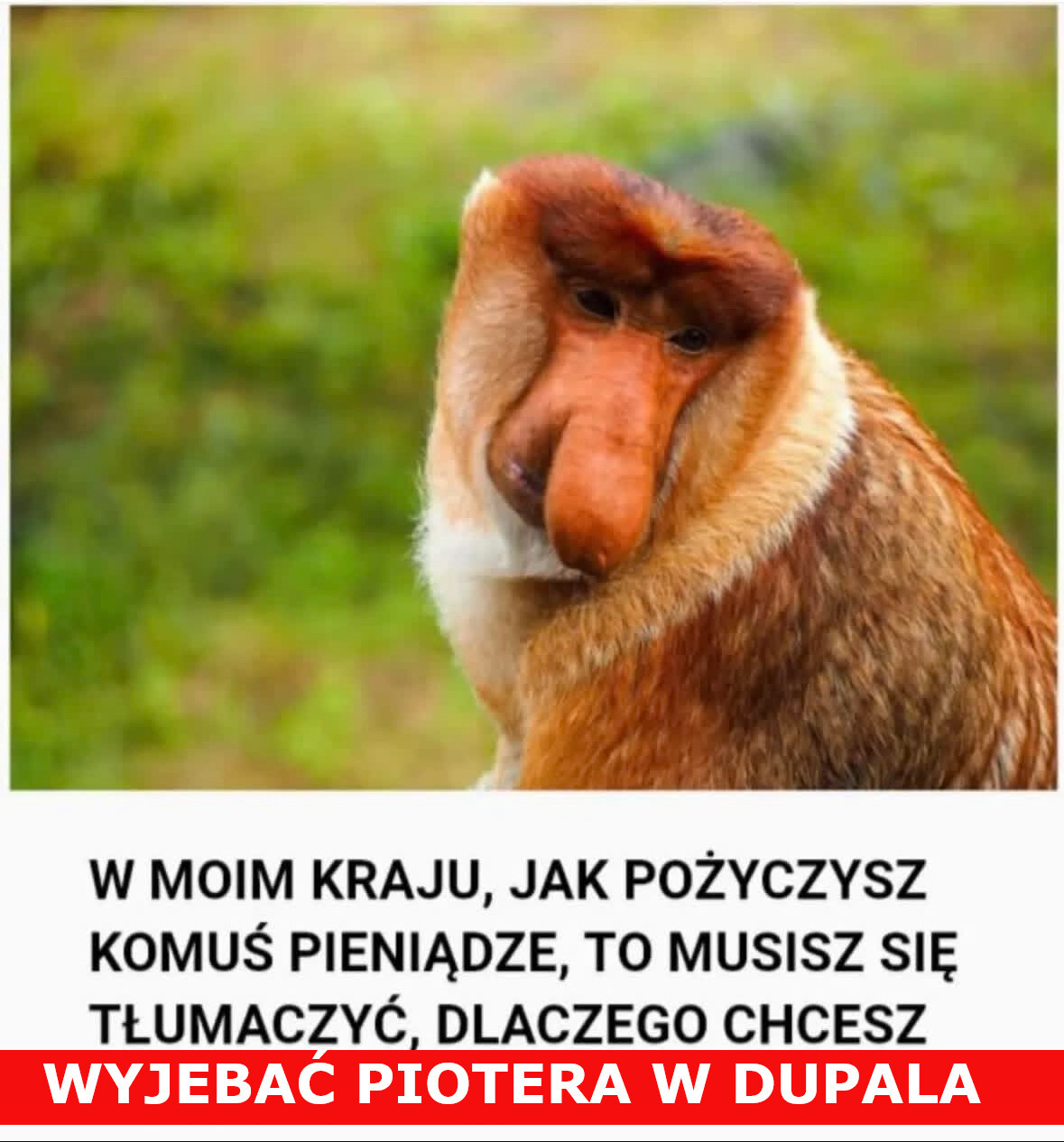 Dzieło sztuki #12368