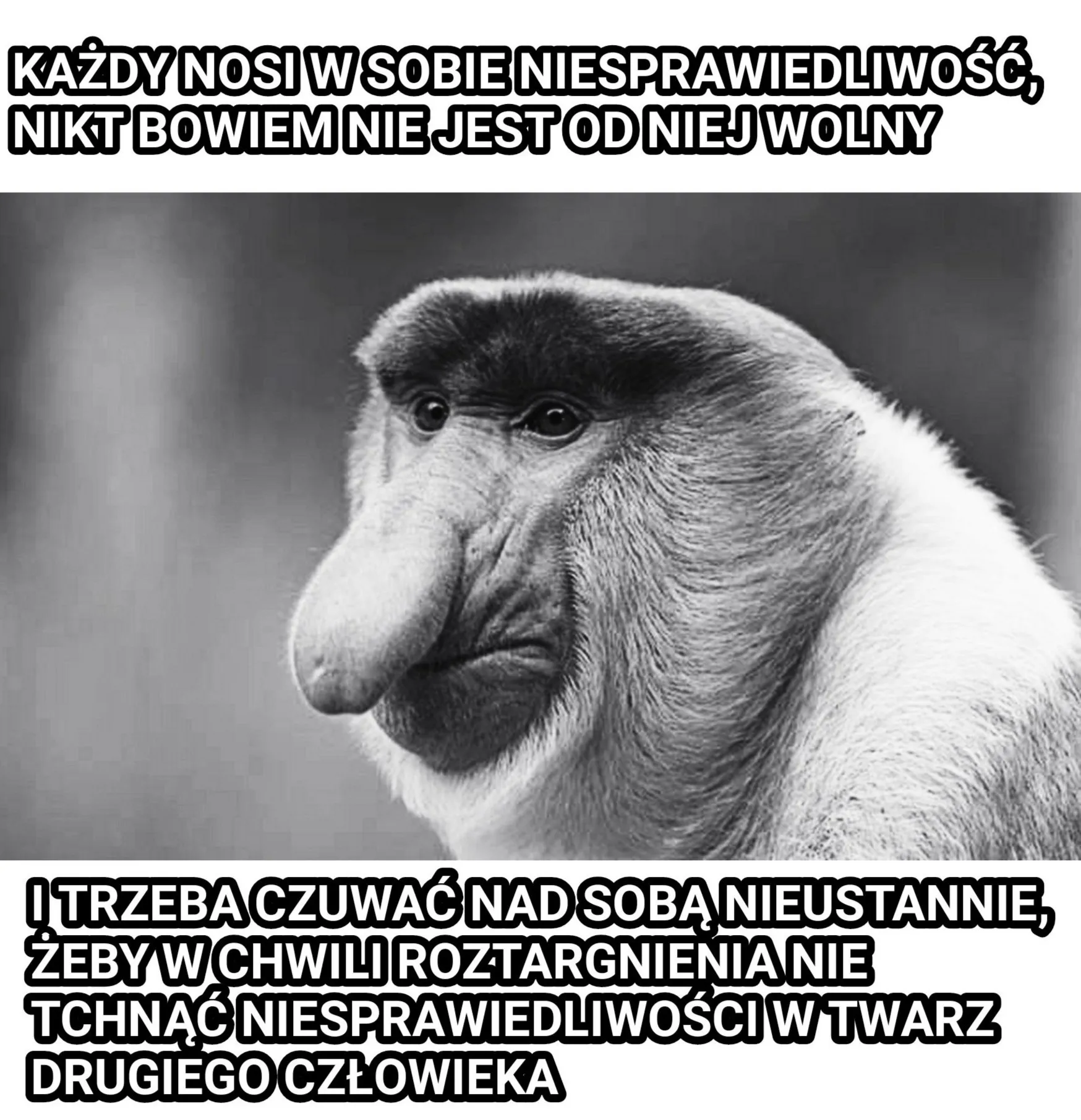 Dzieło sztuki #12372